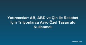 Yatırımcılar: AB, ABD ve Çin ile Rekabet İçin Trilyonlarca Avro Özel Tasarrufu Kullanmalı