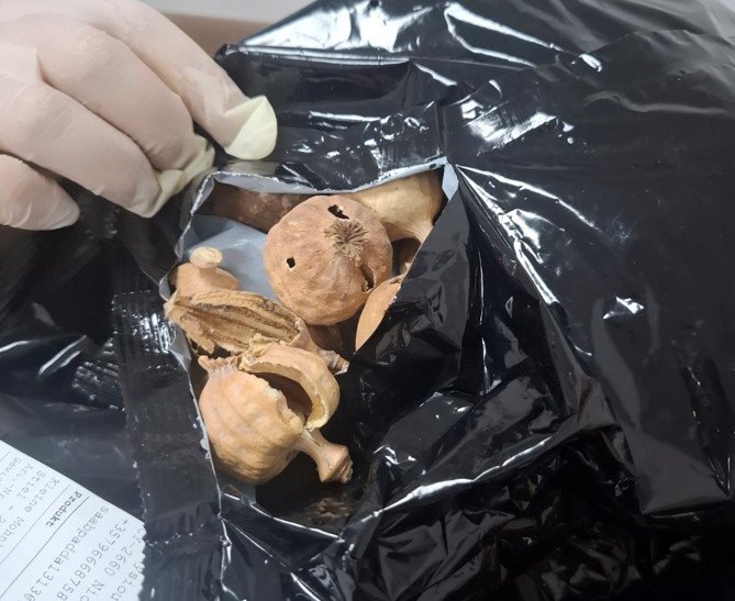 Polis Operasyonlarında 5 Gözaltı: 20 Kilogram Haşhaş Kapsülüne El Konuldu