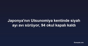 Japonya'nın Utsunomiya kentinde siyah ayı avı sürüyor, 94 okul kapalı kaldı