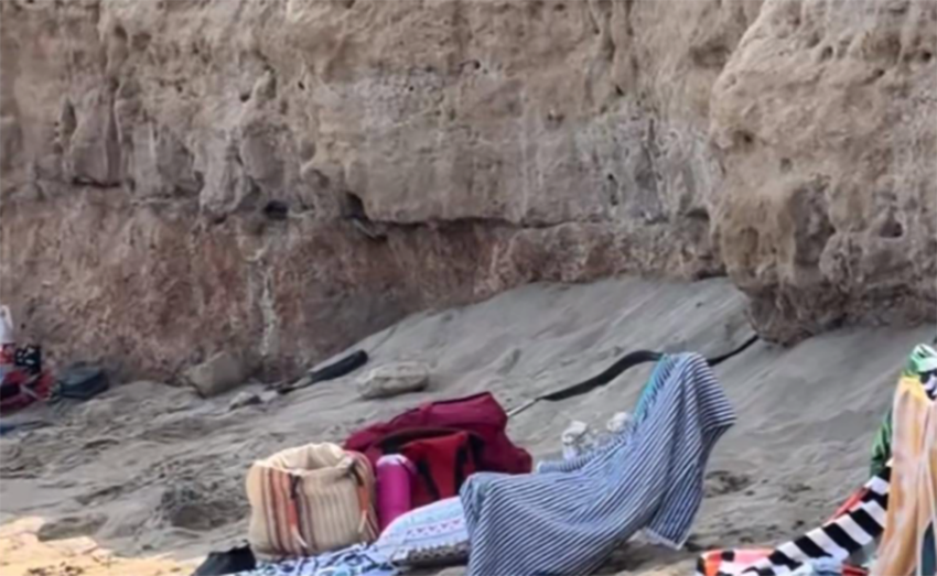 Protaras Sahilinde Yılan Görüldü