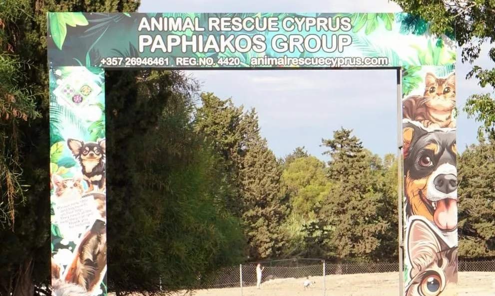 Baf, hükümetin 250 bin euro taahhüdüyle sokak köpeği barınağı projesinde ilerliyor