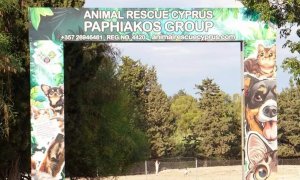 Baf, hükümetin 250 bin euro taahhüdüyle sokak köpeği barınağı projesinde ilerliyor