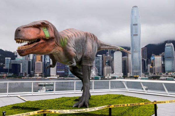 Tyrannosaurus'un Büyük Kafası ve Küçük Kollarının Sırrı Çözüldü