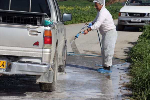 Kıbrıs'ta veterinerlere şap hastalığı denetimi sırasında saldırı