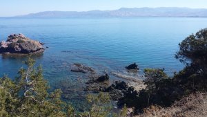 Akamas, Kıbrıs'ın biyoçeşitliliğinin ve karşılaştığı zorlukların canlı örneği
