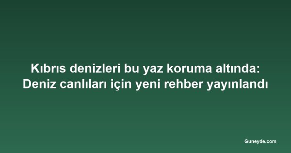 Kıbrıs denizleri bu yaz koruma altında: Deniz canlıları için yeni rehber yayınlandı