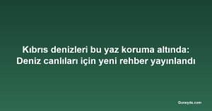 Kıbrıs denizleri bu yaz koruma altında: Deniz canlıları için yeni rehber yayınlandı
