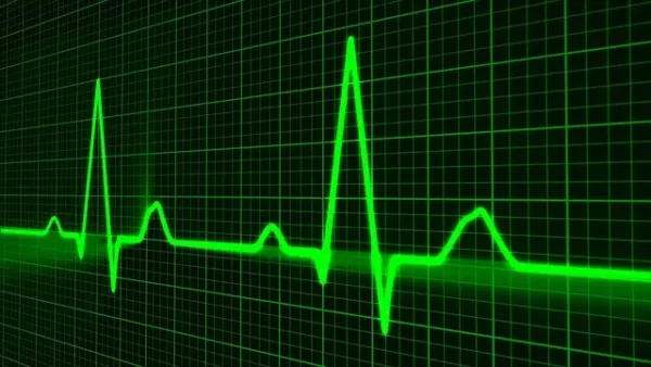 Brezilya'da Ebola Şüphesiyle İki Hasta Karantinaya Alındı