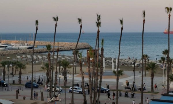 Larnaka'daki Tarihi Palmiyelerin Yoğun Budanması Tepki Çekti
