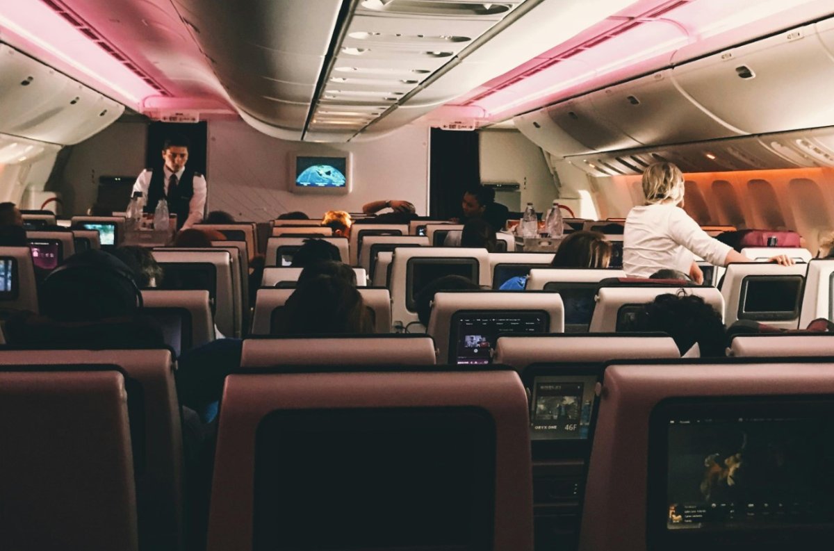 IATA, evcil hayvanla uçmanın belirsizliklerini ortadan kaldırmak için harekete geçti