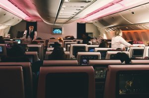 IATA, evcil hayvanla uçmanın belirsizliklerini ortadan kaldırmak için harekete geçti