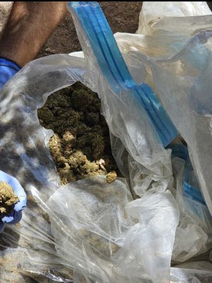 Polis Kıbrıs'a postalanan 7 kg esrarı ele geçirdi, şüpheli tutuklandı