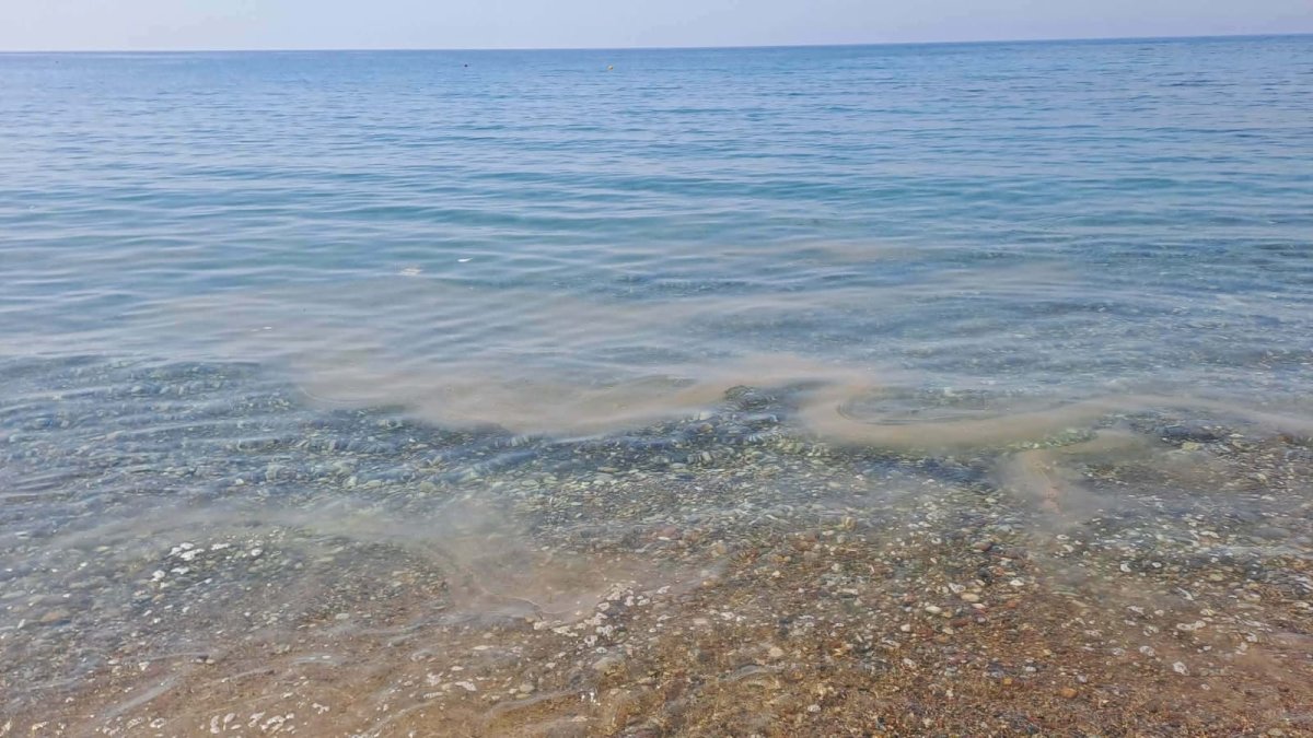 Timi Plajı'nda Kanalizasyon İhbarı Üzerine Soruşturma Başlatıldı