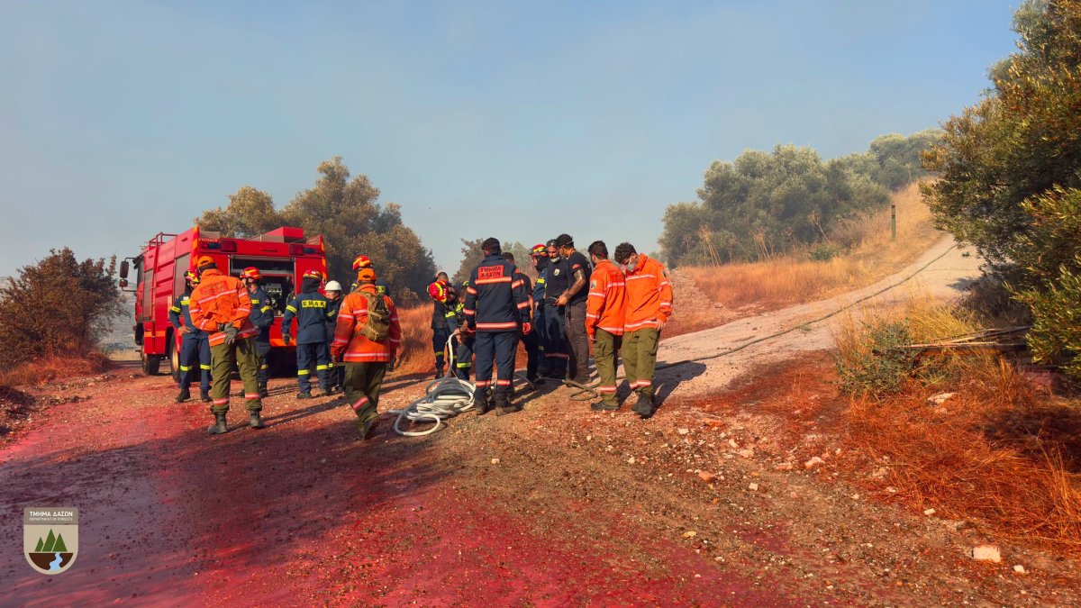 Kalo Chorio'daki Yangın: İtfaiye Overnight Kalacak