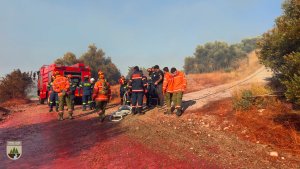 Kalo Chorio'daki Yangın: İtfaiye Overnight Kalacak