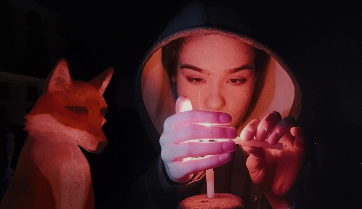 A Fox Under a Pink Moon film afişi