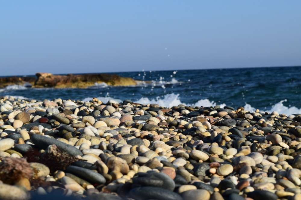 Xylophagou Balık Festivali: Deniz Kültürüne Yolculuk