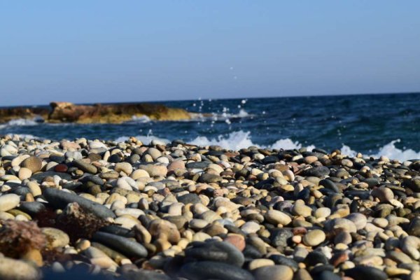 Xylophagou Balık Festivali: Deniz Kültürüne Yolculuk