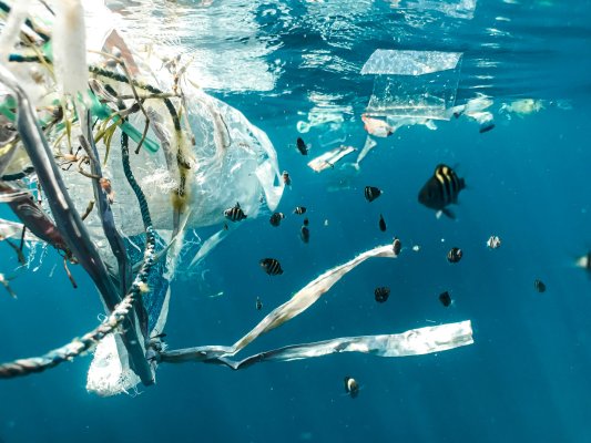 Sonsuz Kimyasallar ve Tek Kullanımlık Plastikler: AB'nin Yeni Kuralları Kıbrıs'ı Nasıl Etkileyecek?