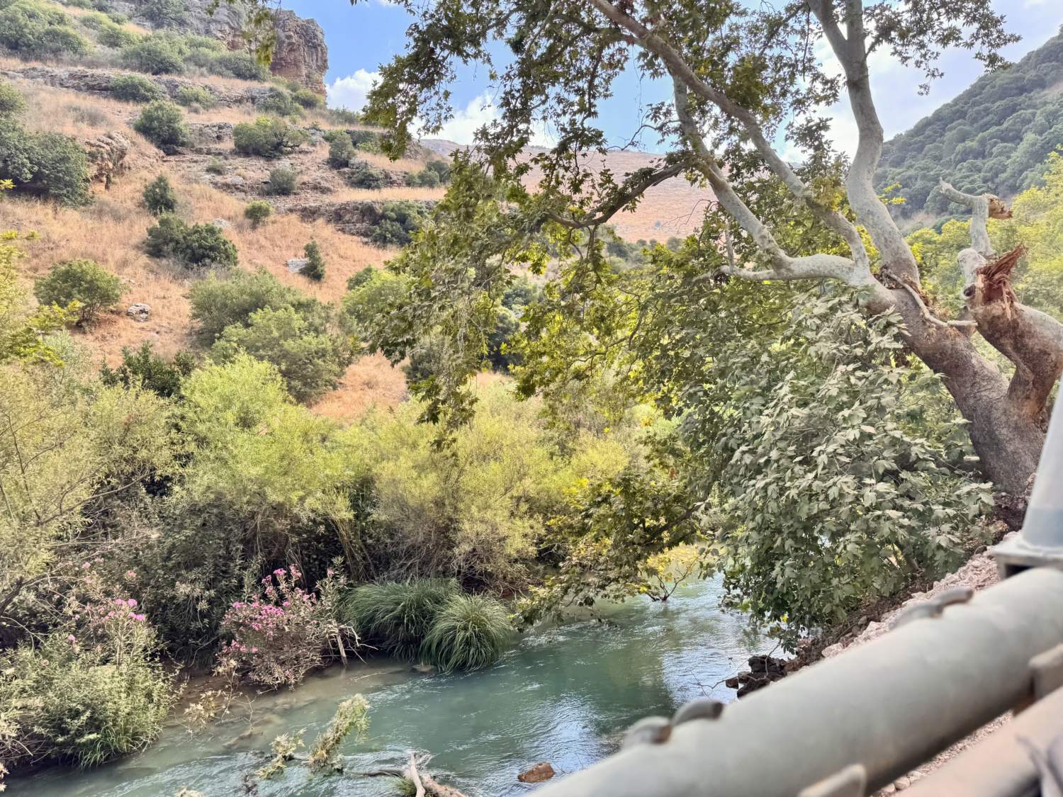 Litani 1