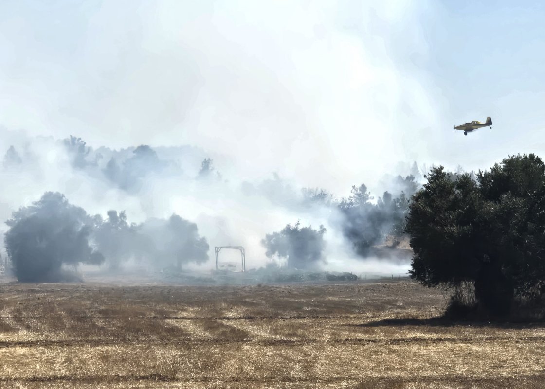 Yarın İçin Orman Yangını Riski Kırmızı Alarm Verildi