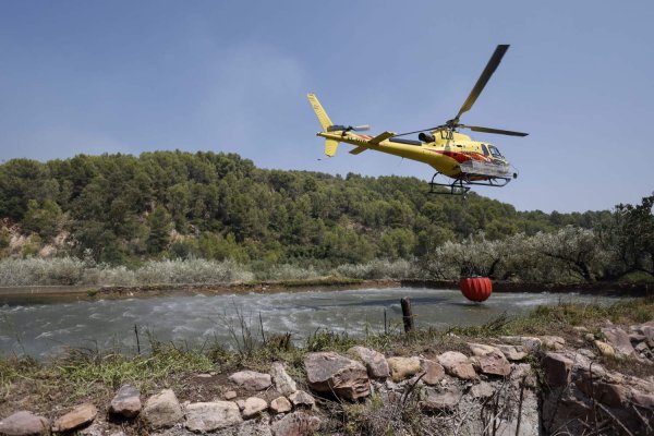 Orman Yangını Emisyonları Artıyor: Milyonlarca Kişi Daha Kötü Hava Kirliliğiyle Karşı Karşıya