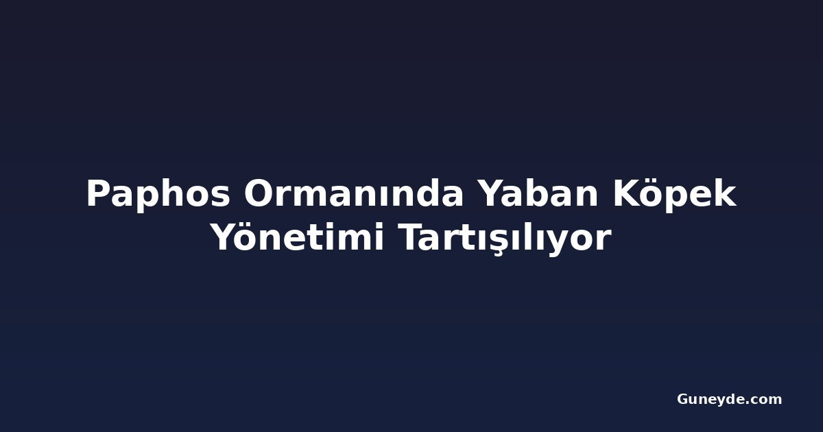 Paphos Ormanında Yaban Köpek Yönetimi Tartışılıyor
