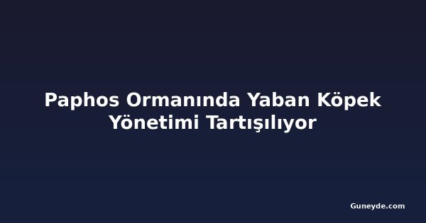 Paphos Ormanında Yaban Köpek Yönetimi Tartışılıyor