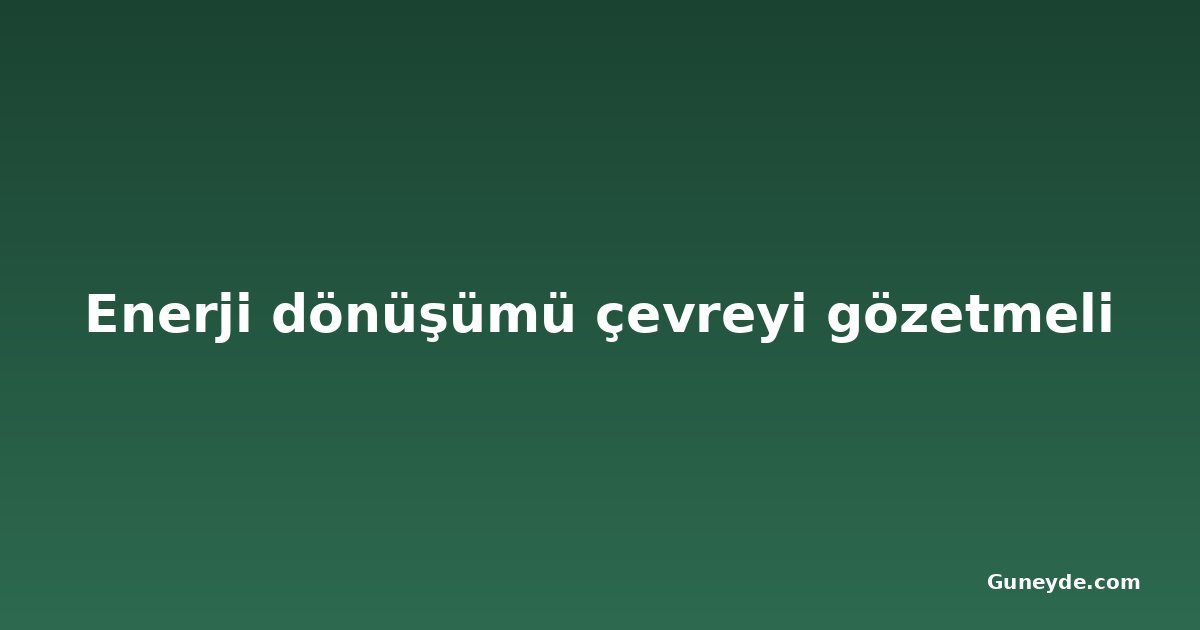 Enerji dönüşümü çevreyi gözetmeli