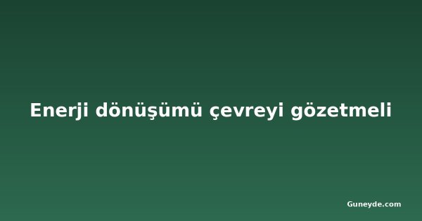 Enerji dönüşümü çevreyi gözetmeli