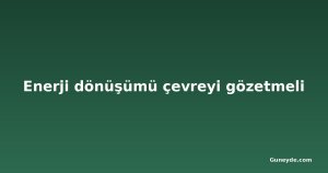 Enerji dönüşümü çevreyi gözetmeli