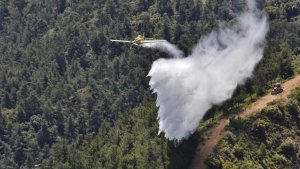 Kıbrıs, Fransa'daki Büyük Orman Yangınlarına Yardım İçin İki Yangın Söndürme Uçağı Gönderiyor