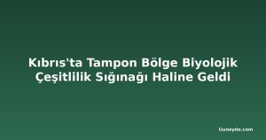 Kıbrıs'ta Tampon Bölge Biyolojik Çeşitlilik Sığınağı Haline Geldi