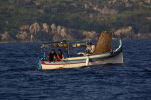 Kıbrıs'tan İrlanda'ya, Avrupa Okyanus İçin Harekete Geçmeli