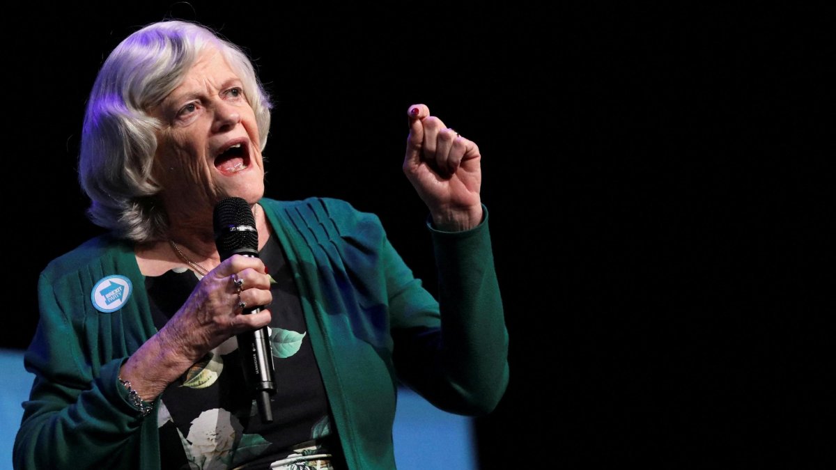 Eski Bakan Ann Widdecombe'un Ölümü Terörle Bağlantılı Olabilir