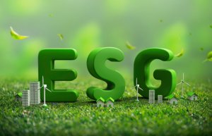 Kıbrıslı işletmeler ESG'de ilerleme kaydediyor: Bankalararası proje kapsamında 1.200'den fazla şirket değerlendirildi