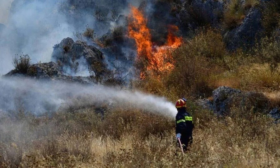 Orman Yangınlarını Önlemek İçin Toplu Çaba