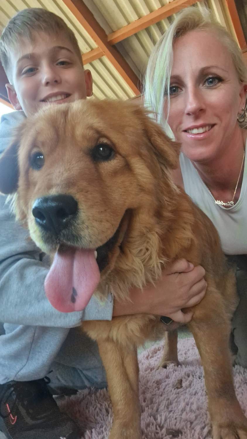 Animal Rescue Cyprus barınağı