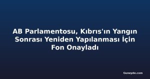 AB Parlamentosu, Kıbrıs'ın Yangın Sonrası Yeniden Yapılanması İçin Fon Onayladı