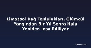 Limassol Dağ Toplulukları, Ölümcül Yangından Bir Yıl Sonra Hala Yeniden İnşa Ediliyor