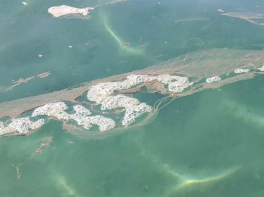 Limassol Denizlerinde 'Tuhaf Sümüksü Madde' Yüzdü