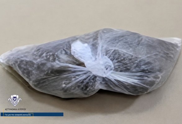 Limasol'da Uyuşturucu Operasyonu: Cannabis ve Havalı Tüfek Ele Geçirildi, 4 Kişi Gözaltında