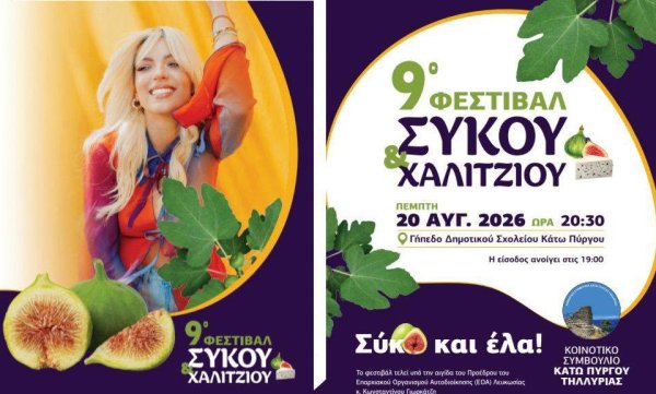 Kato Pyrgos'ta 9. İncir ve Halidji Peyniri Festivali