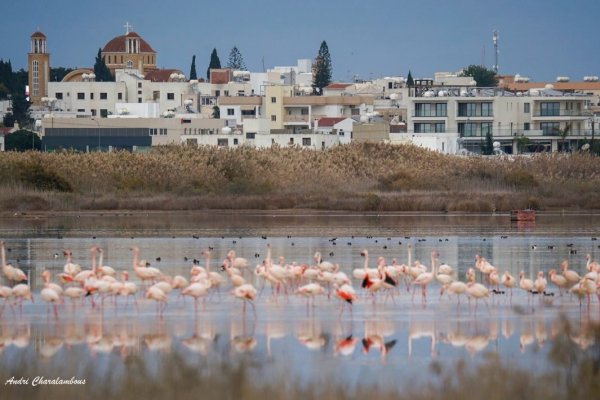 Paralimni'nin merkezindeki büyük dönüşüm projesi onaylandı