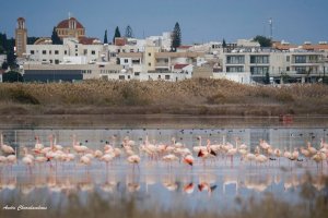 Paralimni'nin merkezindeki büyük dönüşüm projesi onaylandı