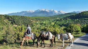 Kanserle Mücadele Eden Çocuklar İçin Beş Kıbrıslı Dağcı Mount Olympus'a Tırmanıyor