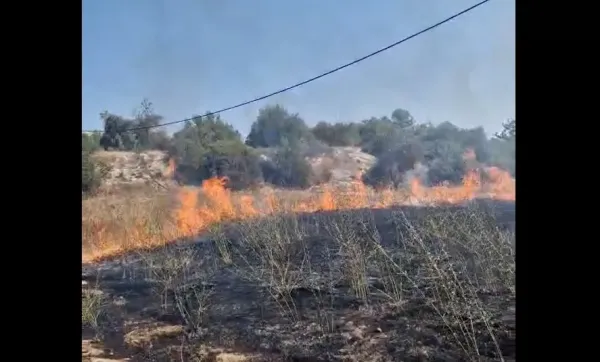 Alambra Toplumuna Yakın Bir Bölgede Yangın Çıktı, Evler Yıkımdan Korundu