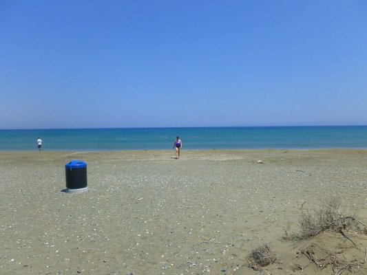Sargassum, plaj tatillerinin kötü kokulu kabusu, kendi kendini besleyen bir felakete dönüştü