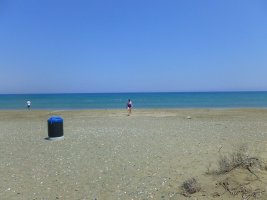 Sargassum, plaj tatillerinin kötü kokulu kabusu, kendi kendini besleyen bir felakete dönüştü