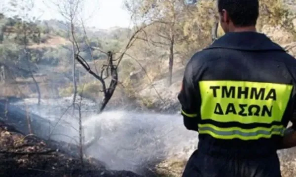 Yangın ekipleri Prodromi-Arodes yolundaki yangın dalgasını kontrol altına almaya çalışıyor, kundakçılık şüphesi var